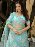 Sky Blue Organza Embroidered Lehenga Choli