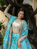 Sky Blue Organza Embroidered Lehenga Choli