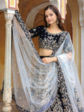 Navy Blue Valvet Embroidered Lehenga Choli