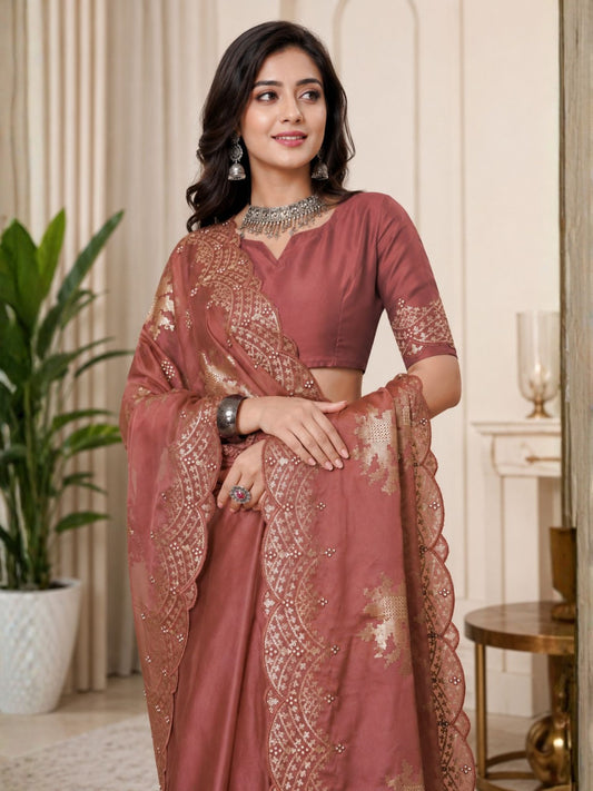 Dusty Pink Organza Saree with Sequin Embroidery